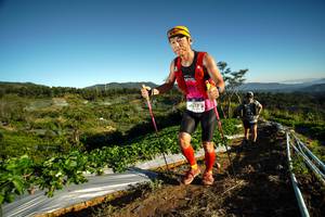 BIB: 1980
                            <button type="button" onclick="openModal(19112280)" class="btn btn-primary btn-sm float-right btn-popup" data-toggle="modal" data-target=".modal-high-quality">
                        <i class="fas fa-shopping-cart"></i> Add to Cart
                    </button>
                                            <button type="button" onclick="isThisMe(19112280, true)" class="btn btn-success btn-sm float-right btn-popup btn-isme hidden" data-toggle="tooltip" data-placement="bottom" title="นี่คือรูปของคุณใช่ไหม คลิกที่นี่เพื่อเอาเข้าอัลบั้ม">
                        <i class="fas fa-plus"></i> Add to album
                    </button>
                    <button type="button" onclick="isThisMe(19112280, false)" class="btn btn-warning btn-sm float-right btn-popup btn-isnotme hidden">
                        <i class="fas fa-ban"></i> Remove from album
                    </button>